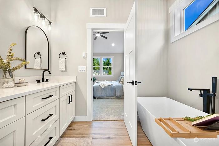 Bath vanity and tub